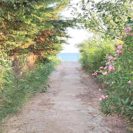 Dyada Дом отдыха *