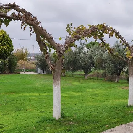 Dyada * Nέα Στύρα